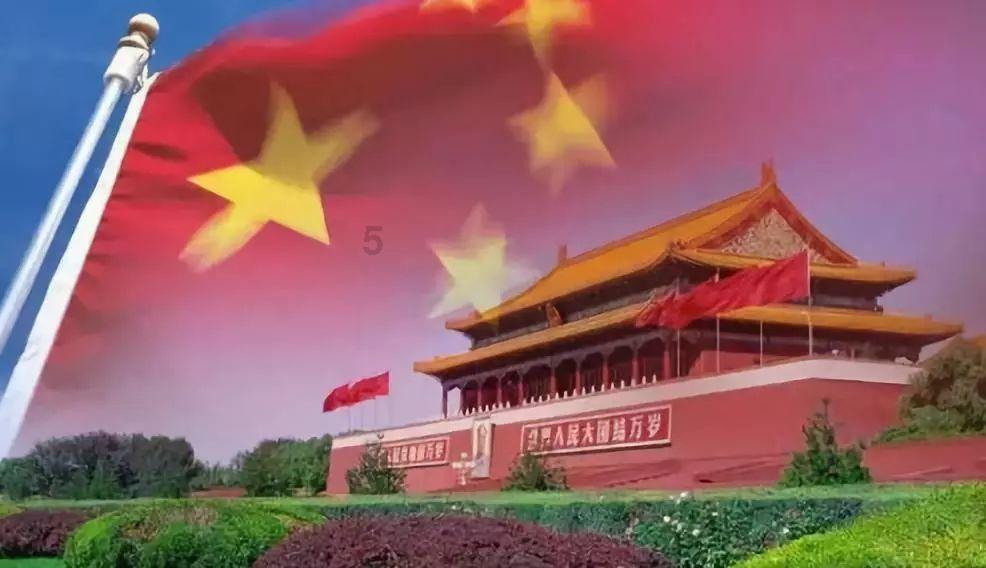 我以为它只是可爱，却伤得我最深